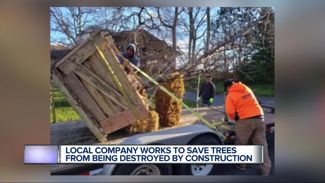 Local company works to save trees from being destroyed by construction