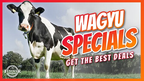 Ozark Wagyu Discounts & Specials: Get the Best Meat Deals! - Amy Harris