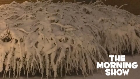 Snow Day / Flow of Consciousness and then some -- 17 JAN 22