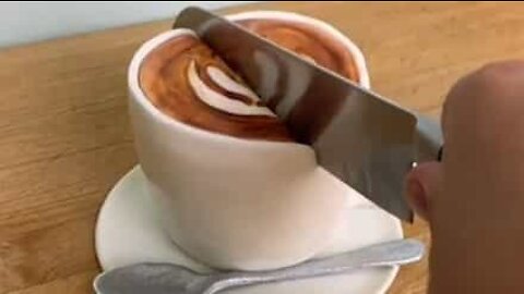 These cakes are not what they appear to be