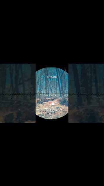 Holdovers with a Leupold Mark 5 HD with PR2 Reticle