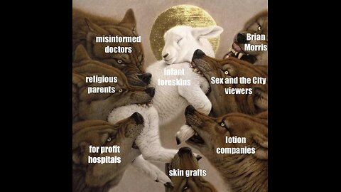 Police above the law