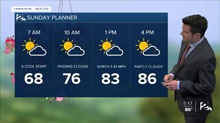 Saturday Night Forecast