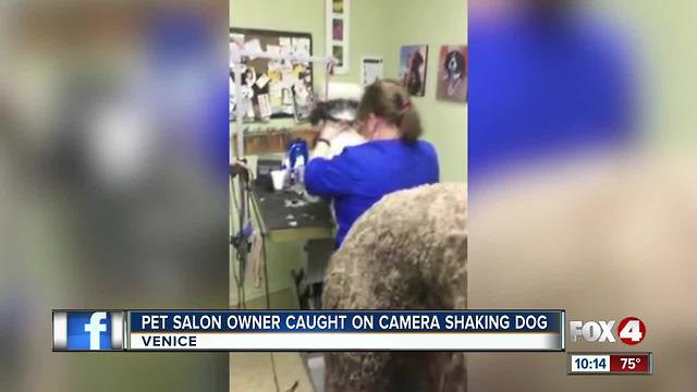 Pet groomer claims animal abuse in viral video