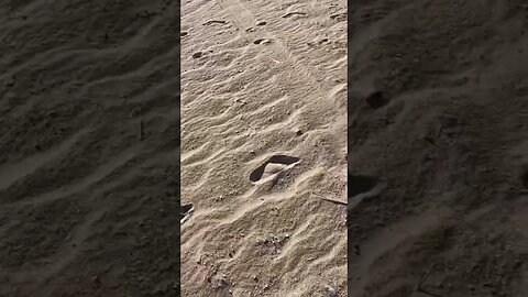 Teaser to a beach video #sand #beachvibes #chasingthesun #justforfun #stayupbeat