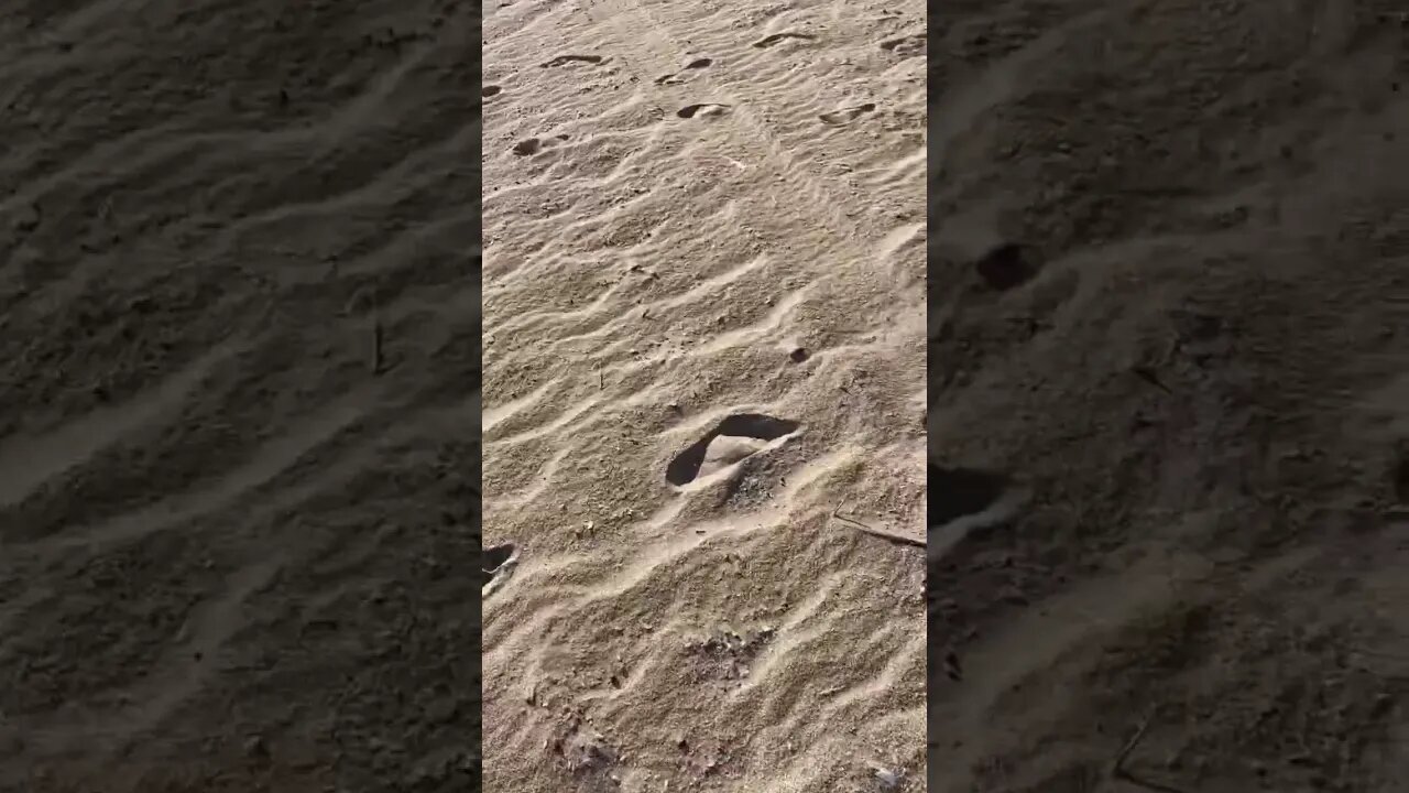 Teaser to a beach video #sand #beachvibes #chasingthesun #justforfun #stayupbeat