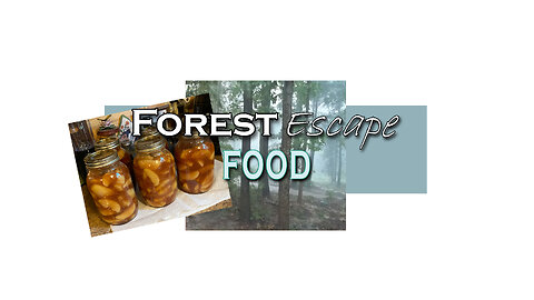 Forest Escape Making Pizza with Homemade Pizza Sauce from the Fresh Tomatoes, Yummy!