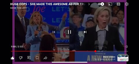 Insane leftist