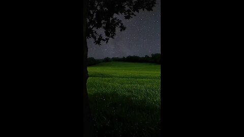 motivationhubvibes