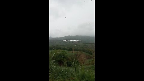 natures top view