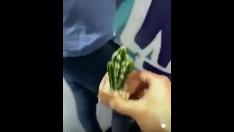pranked #prank #funny