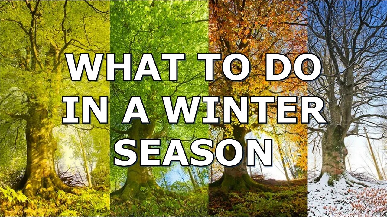 August 25, 2024 - WHAT TO DO IN A WINTER SEASON