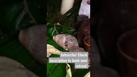 Mama Celia’s Ayahuasca Toolkit