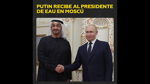 Putin y el presidente de EAU se reúnen de manera informal para tomar el té junto a la chimenea