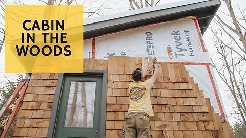 Cabin Building on my property - Cabin Build Ep.26