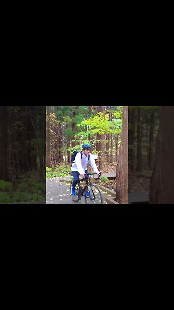 Maruyama Forest Japan