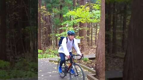 Maruyama Forest Japan