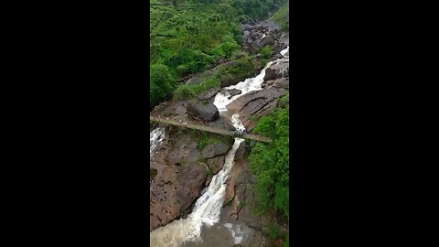 The natural in Indian