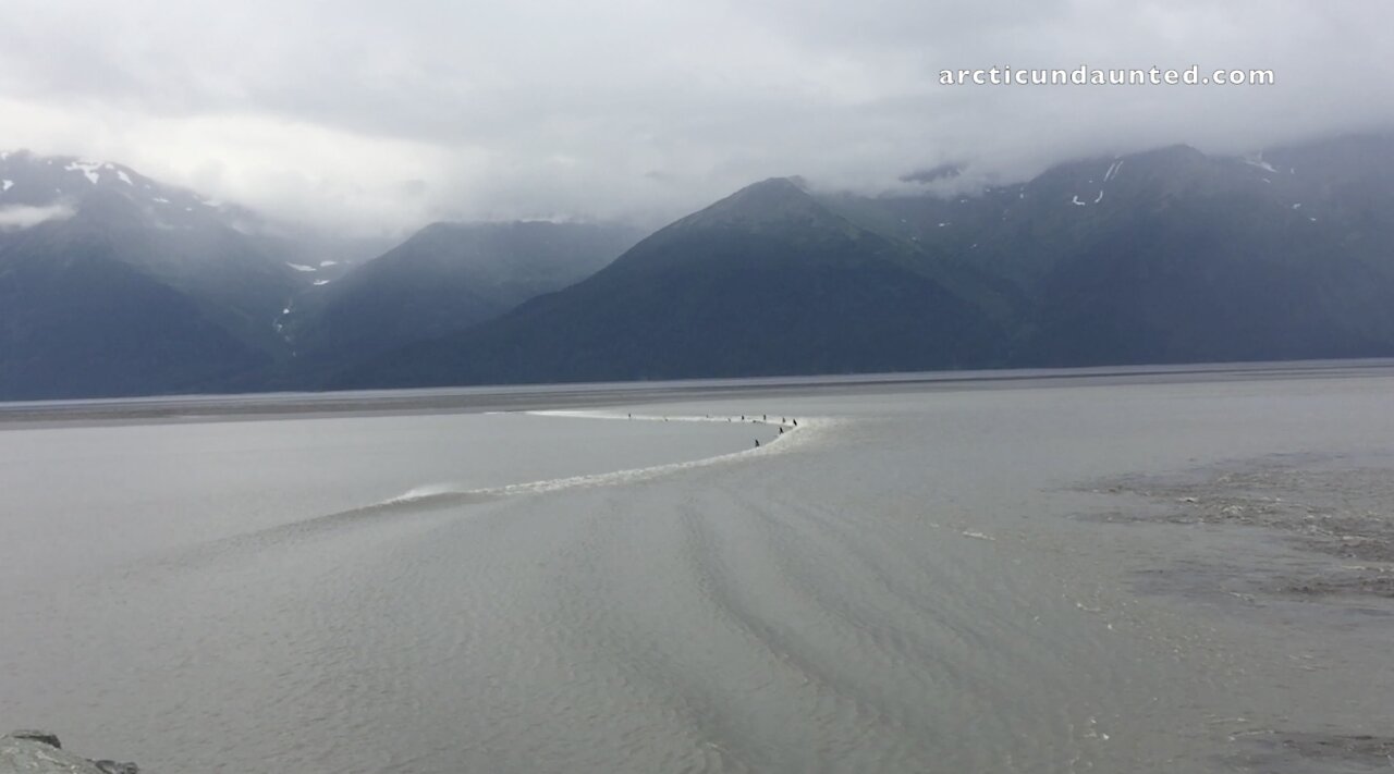 Extreme SUP Surfing A Summer Boretide Up Turnagain Arm