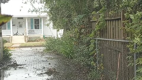 Thursday st augustine Flooding Live Storm Nicole