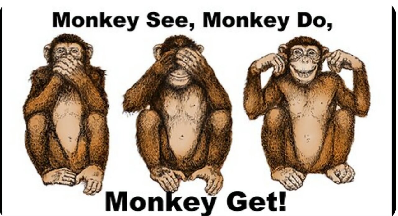 Fallen Angel Monkey (POX 'VIRUS') Business!