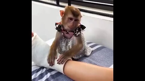 Funny Videos 🤣😂 #4