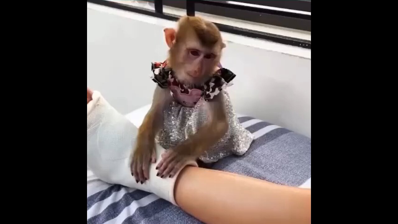 Funny Videos 🤣😂 #4