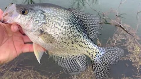 Sight-Fishing God's Country
