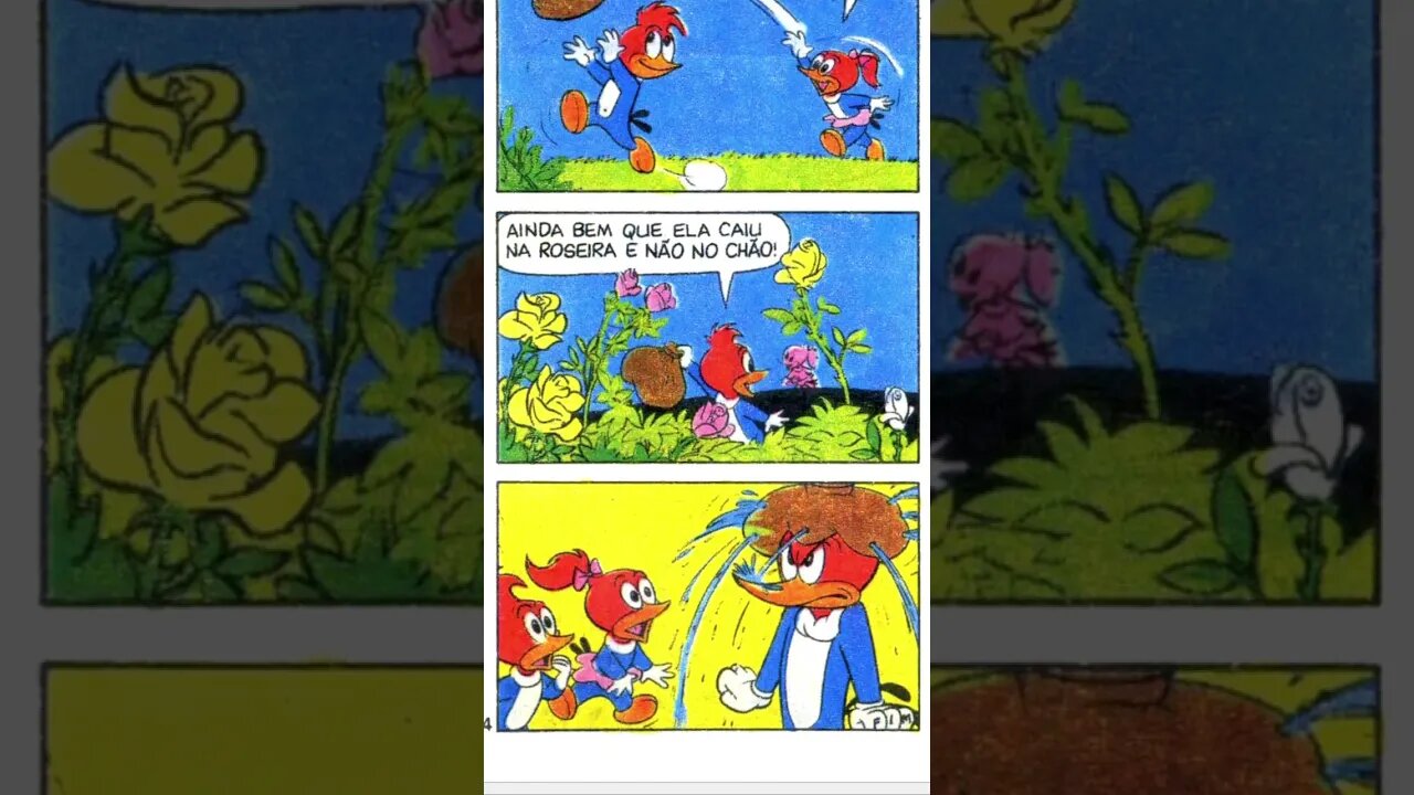 Pica Pau [Pause o Vídeo Caso Não Consiga Ler]