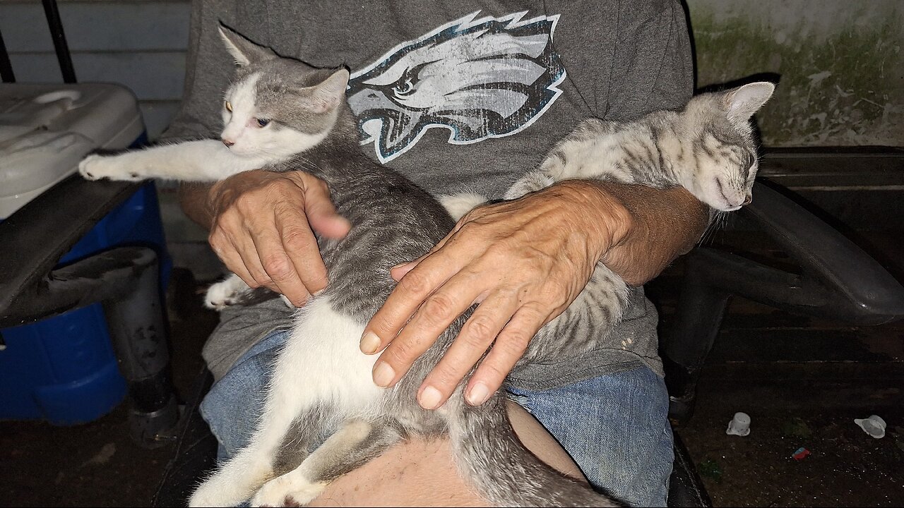 Good Sunday Afternoon!