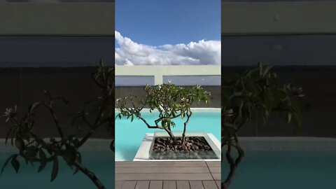 VISTA INCRIVEL DA PISCINA! #curiosidades #shorts #vista