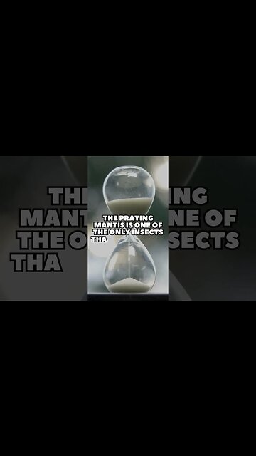 Incredible Random Facts That Will Expand Your Mind! [2023] #shorts #facts #viralshorts #fyp #life