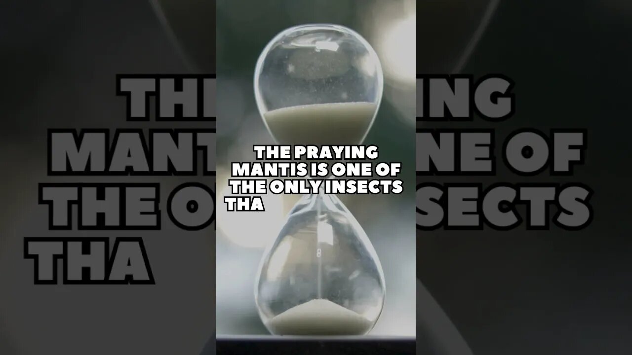 Incredible Random Facts That Will Expand Your Mind! [2023] #shorts #facts #viralshorts #fyp #life