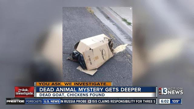 Dead animal mystery gets deeper