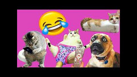 Ultimate Animals Thug Life Compilation of April 2024