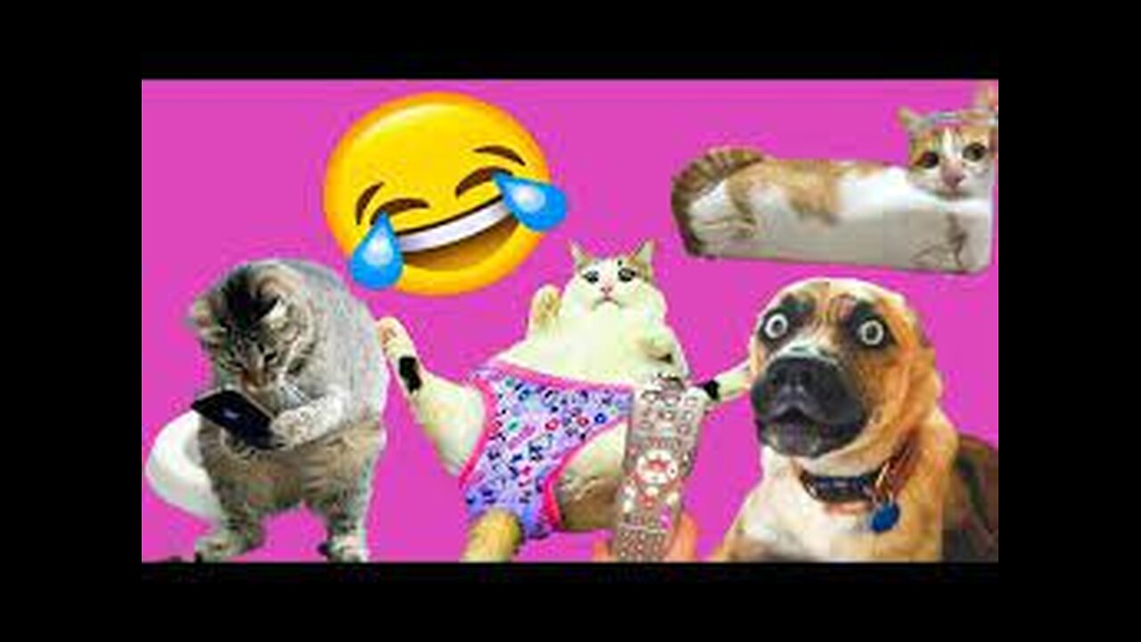 Ultimate Animals Thug Life Compilation of April 2024