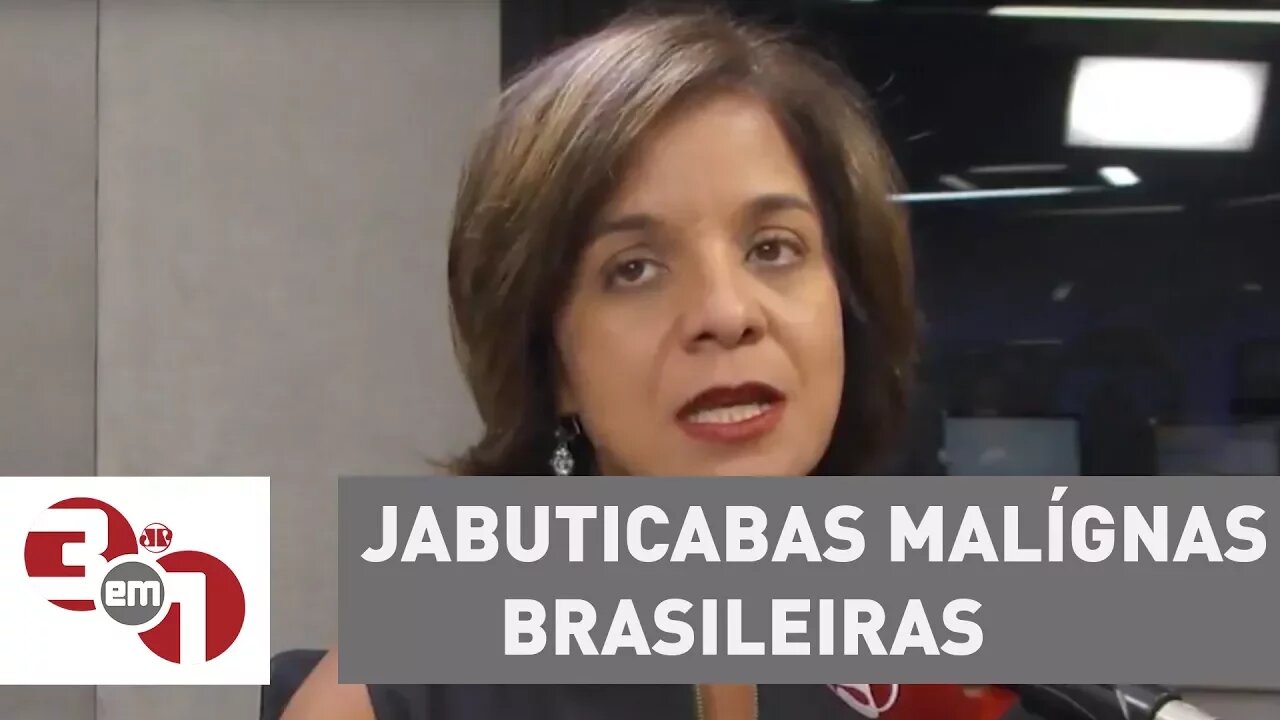 Vera: Envolvimento de Blairo Maggi em denúncias é uma das jabuticabas malígnas brasileiras