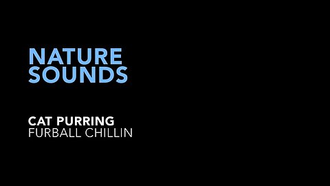 Nature Sounds - Cat Purring #asmr #relaxingsounds #cat #catpurring #purr #purring #purringcat