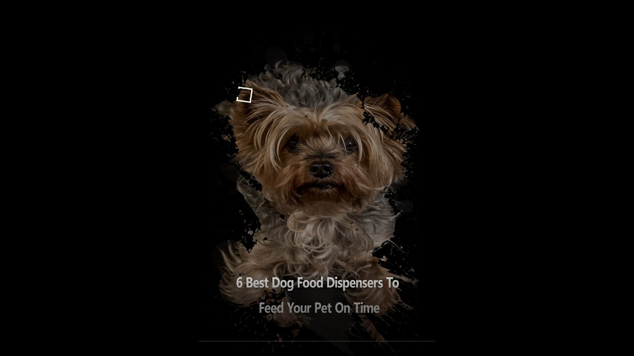 6 Of The Best Dog Food Dispensers To Feed Your Pet On Time