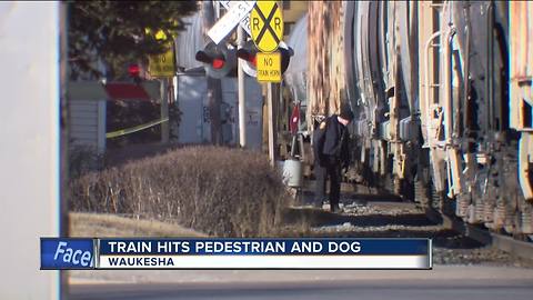 Train strikes, kills pedestrian and dog in Waukesha