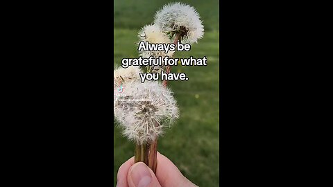 Always Be Grateful for What You Have