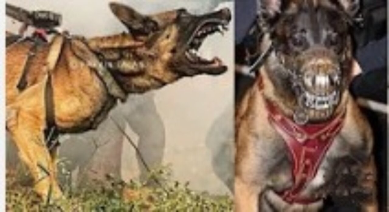 ⚠️Dogs that can kill you quickly ! Cutest Overloaded |