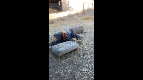 Fire away