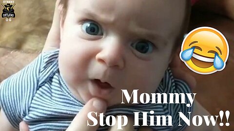 FUNNY MOMENTS | Funniest video you will see today | Compilation | 2024🤣😂