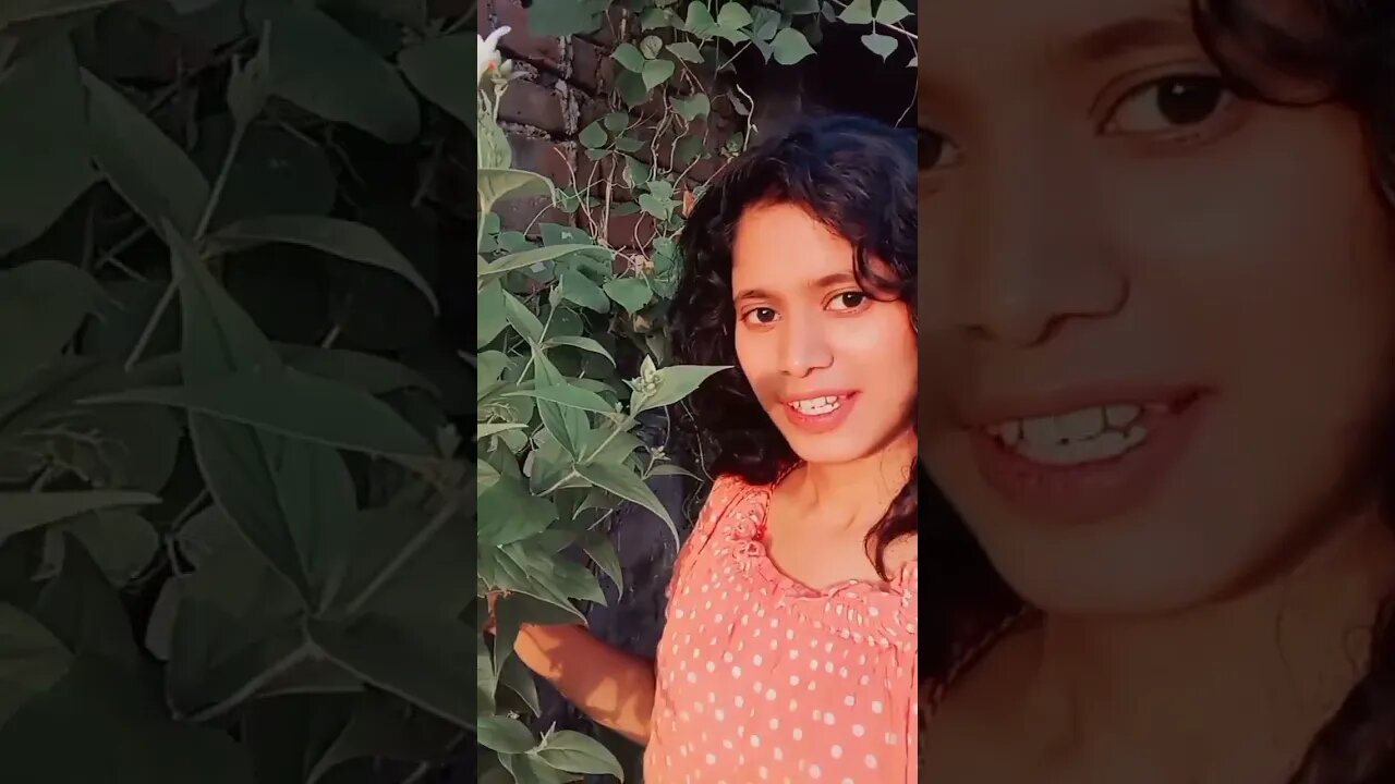 harsingar ke ped ko Sanskrit mein kya kahate Hain