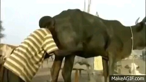 DEMS WILL DO ANYTHING TO GET YOUR VOTE