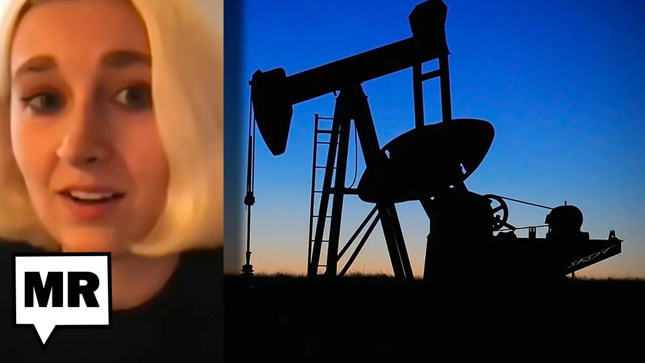 The Disastrous Willow Project EXPLAINED | Hannah Story Brown | TMR