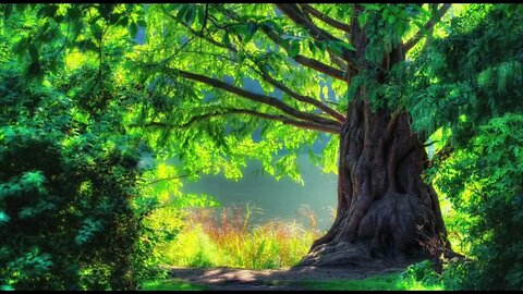 🔴 Soul Healing Music (4K UHD) Scenic Relaxation Music Thats Good For The Soul, Mind & Body