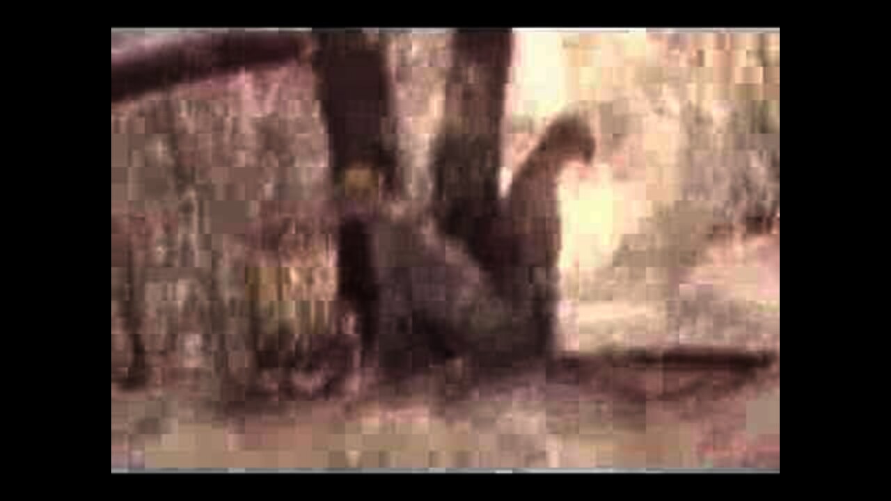 Kenya 2006 - Two Cheetahs