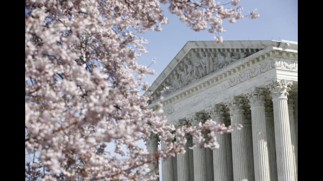 Sweet & Good Torah - The Tree of Life, Roe vs Wade